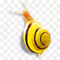 ��ţ������д��ţ-������