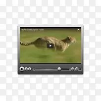 ��Ƶè������ý��è-������