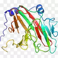 �ߵ������������-������