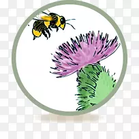 蜜蜂乳膏,昆虫叮咬和瘙痒-空若网 蜜蜂乳膏,昆虫叮咬和瘙痒-空若网