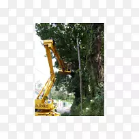 Ê÷-Ê÷-¿ÕÈôÍø Ê÷-Ê÷-¿ÕÈôÍø