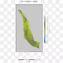 ��������̬ϵͳ-Ҷ-������