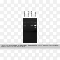 Ʒ�Ƶ������-������