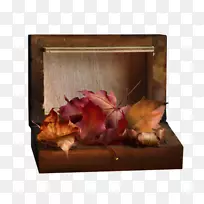 静物摄影秋天相框博客-秋天-空若网 静物摄影秋天相框博客-秋天-空若网