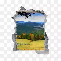 ��ֽǽ��ֽ��ϩ�����ƶ�����-������