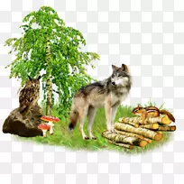 灰狼博客剪辑艺术画的狼和猫头鹰-空若网 灰狼博客剪辑艺术画的狼和猫头鹰-空若网