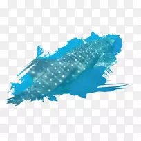 海洋海洋生物水怪能量鲸鲨-空若网 海洋海洋生物水怪能量鲸鲨-空若网