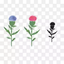 ���ѹ�Ӣ���Ӵ���-������