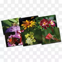 花卉设计画框.设计-空若网 花卉设计画框.设计-空若网