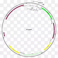 Բ������-������