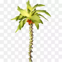 红叶乔木(Auglis mangifera inapa-叶)-空若网 红叶乔木(Auglis mangifera inapa-叶)-空若网