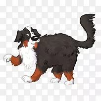 犬种伯恩塞山犬鼻子-小狗-空若网 犬种伯恩塞山犬鼻子-小狗-空若网