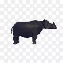 牛的野生动物鼻子黑色的m-爪哇犀牛-空若网 牛的野生动物鼻子黑色的m-爪哇犀牛-空若网
