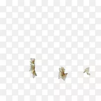 �����鱦����-�鱦-������