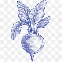 ֲ���ͼ/m/02csf����ֲ��-��ͨ���-������