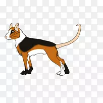 ����ֳ���������-��-������