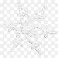 白色对称黑色花边图案-白雪公主-空若网 白色对称黑色花边图案-白雪公主-空若网