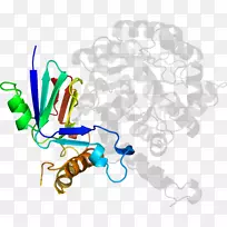 �ߵ������-��-������