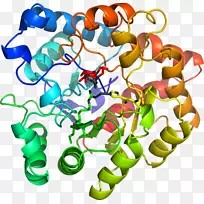 人体首饰有机体线剪贴画线-空若网 人体首饰有机体线剪贴画线-空若网