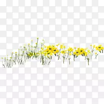 黄色花瓣电脑墙纸-向日葵-空若网 黄色花瓣电脑墙纸-向日葵-空若网