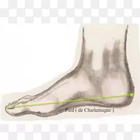 鞋踝设计-空若网 鞋踝设计-空若网