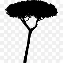 树枝轮廓-空若网 树枝轮廓-空若网