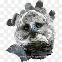 èͷӥ×ìèͷӥ-¿ÕÈôÍø èͷӥ×ìèͷӥ-¿ÕÈôÍø