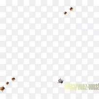 ���������ֽ���ۻ�������������-������