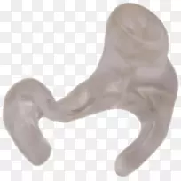 人体珠宝耳廓-耳廓-空若网 人体珠宝耳廓-耳廓-空若网