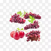 Kyoho葡萄酒葡萄Zante currant Auglis-水果葡萄-空若网 Kyoho葡萄酒葡萄Zante currant Auglis-水果葡萄-空若网