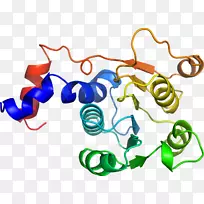 线点剪贴画-线-空若网 线点剪贴画-线-空若网