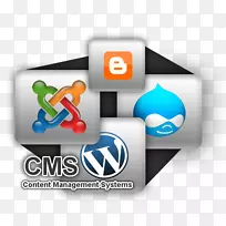 Web开发内容管理系统WordPress-内容管理系统-空若网 Web开发内容管理系统WordPress-内容管理系统-空若网