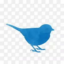 �����Ӱ-������