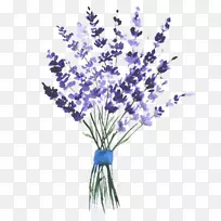 英国薰衣草水彩画剪贴画-空若网 英国薰衣草水彩画剪贴画-空若网