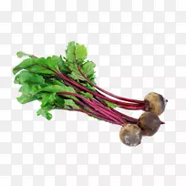 ���ܲ�԰��˾�߲�ʳƷ���ܲ��߲�-������