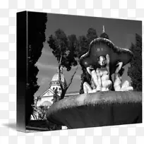 摄影白色-丰塔纳德特里通罗马-空若网 摄影白色-丰塔纳德特里通罗马-空若网