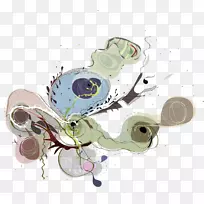 绘画昆虫剪贴画.水彩画-空若网 绘画昆虫剪贴画.水彩画-空若网