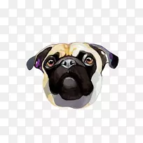 帕格沙培小狗品种图-沙培阿凡达-空若网 帕格沙培小狗品种图-沙培阿凡达-空若网