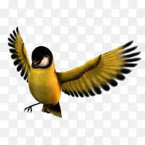 ����-��˹�����˲���˵������������-����-������