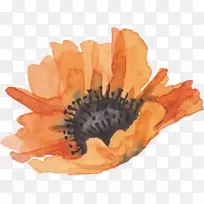 »¨»ÜË®²Ê»ÏÂÔØ-³Èɫˮ²Ê»-¿ÕÈôÍø »¨»ÜË®²Ê»ÏÂÔØ-³Èɫˮ²Ê»-¿ÕÈôÍø