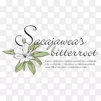 花卉设计切花礼品植物茎-礼品-空若网 花卉设计切花礼品植物茎-礼品-空若网