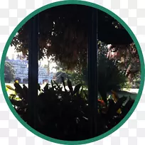 ��-��-������