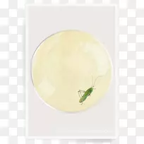 圆圈-空若网 圆圈-空若网