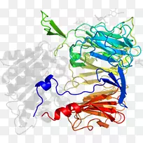 ����ƽ����Ƶ��������-������