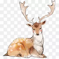 ѱ¹ˮ�ʻ��ֻ泤��¹-������