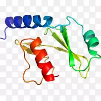 蔬菜有机体系列剪贴画-蔬菜-空若网 蔬菜有机体系列剪贴画-蔬菜-空若网