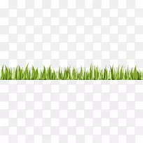 Adobe插画师adobe系统麦草u0633u0628u0632u0647-绿草-空若网 Adobe插画师adobe系统麦草u0633u0628u0632u0647-绿草-空若网