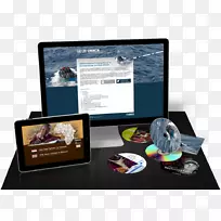 Ʒ�ƶ�ý��.��ý������-������