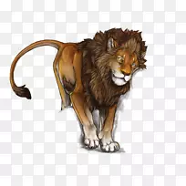 大型猫科动物野生动物毛皮猫-空若网 大型猫科动物野生动物毛皮猫-空若网