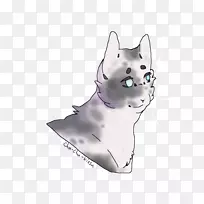 胡须狗繁殖猫鼻子猫-空若网 胡须狗繁殖猫鼻子猫-空若网